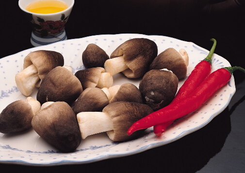 产妇宜多吃蘑菇-吃蘑菇的方法