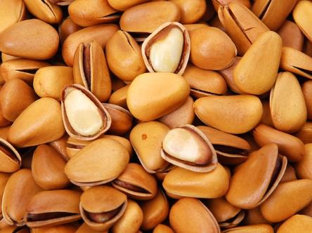 吃松子有什么好处?常吃松子对身体好吗