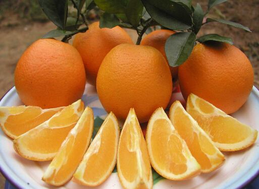 吃柑橘喝红茶可以防卵巢癌