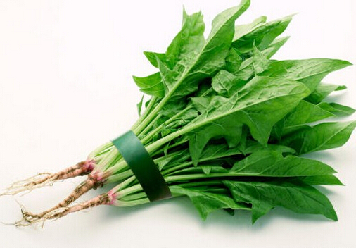 吃菠菜可降低结肠癌风险-菠菜的作用