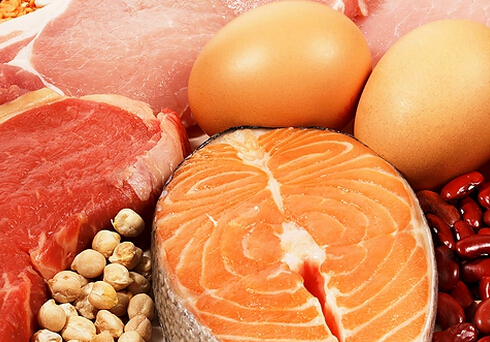 多吃动物蛋白能延缓衰老
