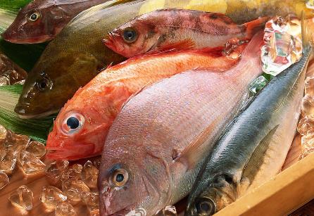 吃哪种鱼可补肝益气？各种鱼肉的保健功效