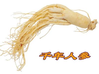 什么人不能吃人参?人参果怎么吃最好