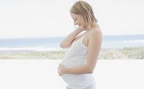 拒绝快餐诱惑-孕妇应规律饮食