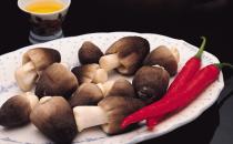 产妇宜多吃蘑菇-吃蘑菇的方法