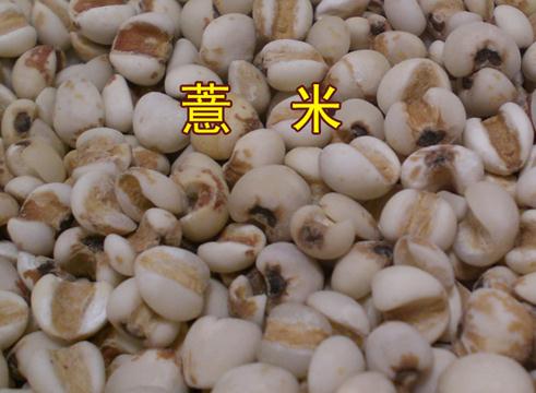 玛卡的功效与作用_薏仁米的功效与作用
