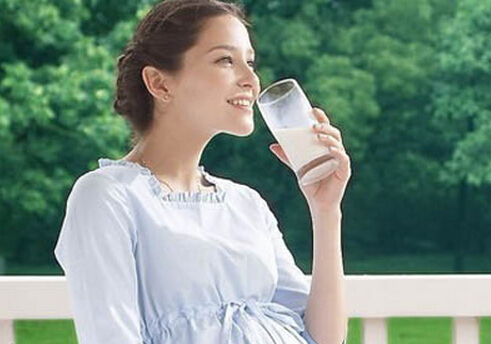 孕妇应保持每天一杯奶