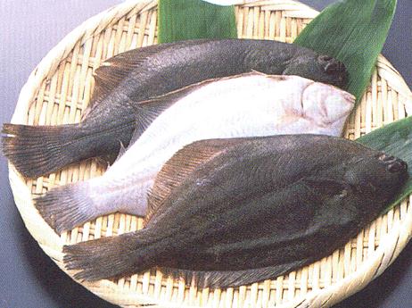 鸦片鱼的营养价值-鸦片鱼的食疗作用