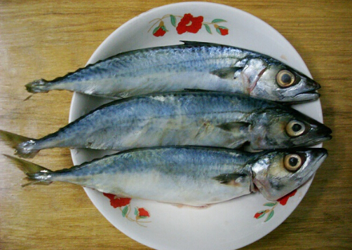 食用青占鱼的注意事项-青占鱼的营养价值
