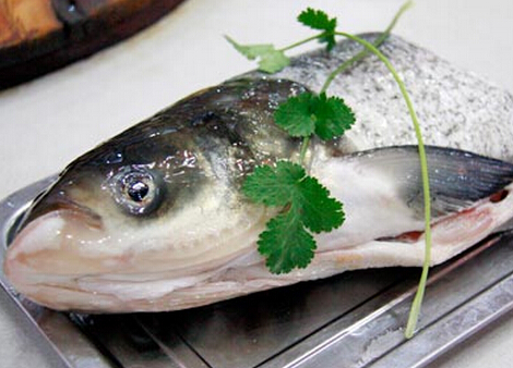 食用青根鱼的注意事项-青根鱼的营养价值