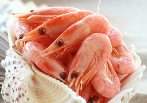 北极甜虾的医疗效果-北极甜虾怎么吃