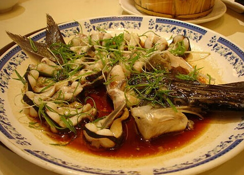 鸭嘴鱼是什么?鸭嘴鱼的营养价值