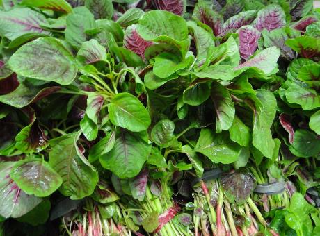 吃苋菜好吗?苋菜的营养价值、功效与作用