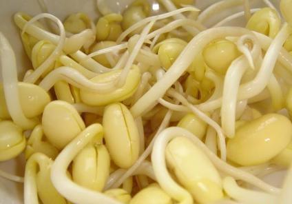 吃黄豆芽好吗?黄豆芽的营养价值、功效与作用