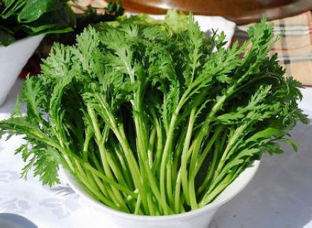 茼蒿怎么做好吃?茼蒿的营养价值、功效与作用