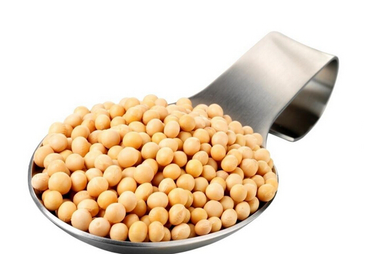 研究发现大豆或有益于女性心脏健康