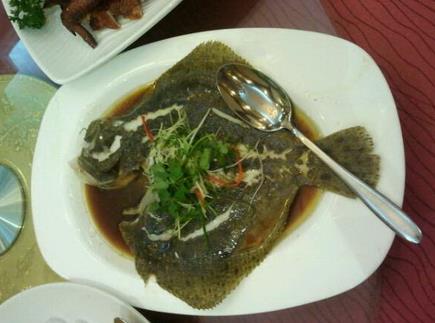 蒲鱼的功效与作用,蒲鱼的营养价值分析