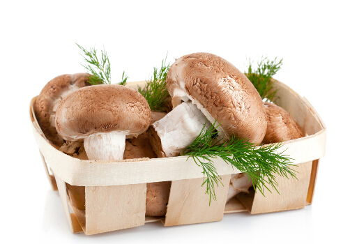 香菇萃取物可以预防宫颈癌