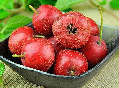 吃山楂有什么好处？山楂的功效与作用及食用禁忌