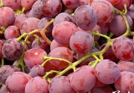 吃提子有什么好处?提子的功效与食用作用