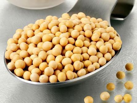 常吃黄豆有什么好处？黄豆的营养价值、功效与作用