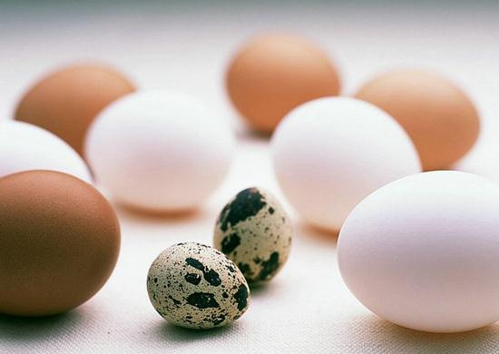 鹌鹑蛋的营养价值比鸡蛋高吗？鹌鹑蛋与鸡蛋营养价值的比较