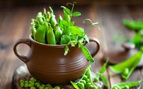 产妇吃豆类蔬菜可以增加乳汁