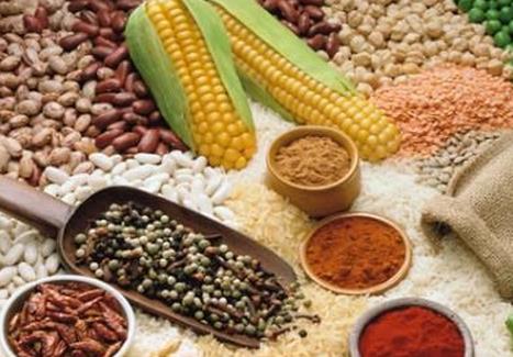 老人食适量粗粮益处多-360常识网