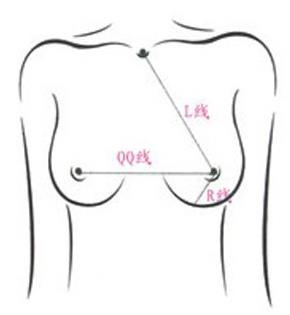 胸围怎么算?你的胸围是否标准?女人完美乳房标准详细图解