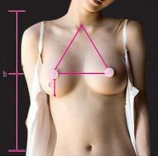 胸围怎么算?你的胸围是否标准?女人完美乳房标准详细图解