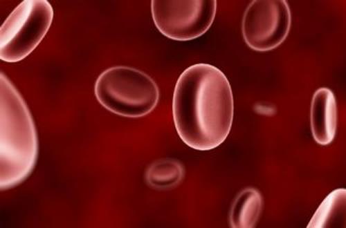 贫血怎么补血?贫血的人吃什么好?女性贫血的症状原因