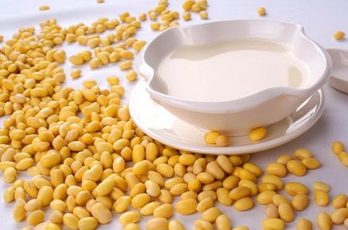 月经期能不能喝豆浆?女性经期喝豆浆好吗