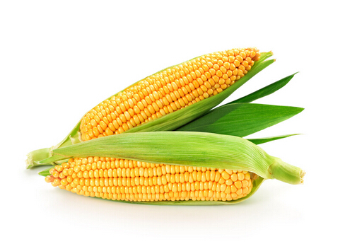 吃玉米有抗癌作用-玉米是男人必备的保健品