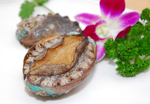 鲍鱼如何挑选?鲍鱼如何挑选