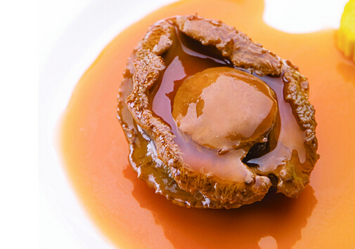 鲍鱼多少钱一斤?鲍鱼的价格