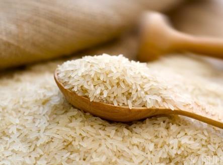 【图】大米生虫怎么办?如何能有效防止大米生