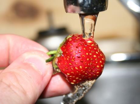 草莓怎么洗？草莓的保存方法