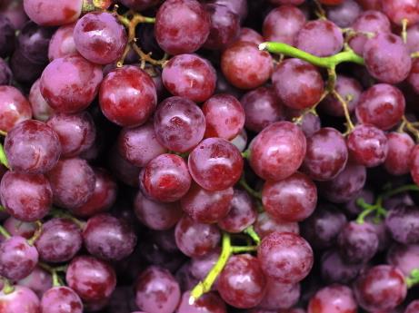 如何挑选新鲜的葡萄?新鲜葡萄的选购方法