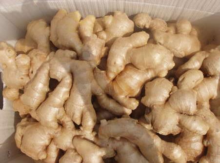 夏季如何保存生姜?夏季保存生姜的小窍门