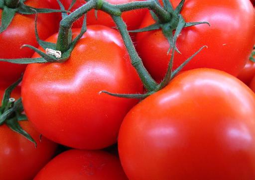 如何选购西红柿？什么颜色的番茄最好