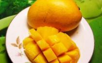 经期吃芒果危害大？经期可以吃芒果