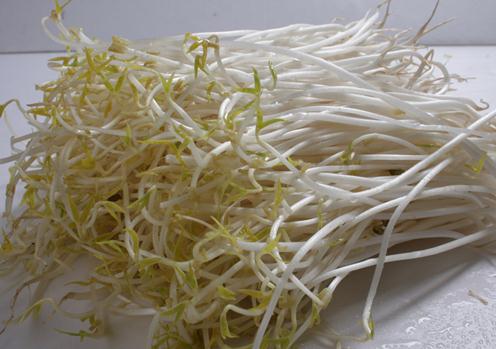 如何挑选优质豆芽?豆芽的挑选方法