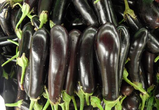 如何挑选新鲜茄子?茄子的挑选方法