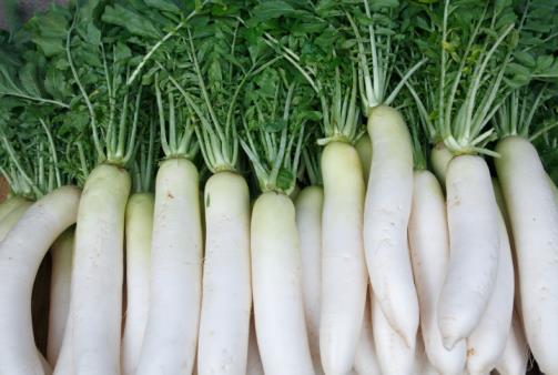 怎么挑选白萝卜？白萝卜的挑选方法