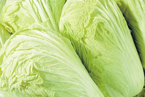 怎样挑选大白菜?大白菜的选购技巧