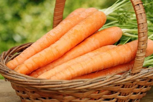 如何储存胡萝卜?胡萝卜怎样储存