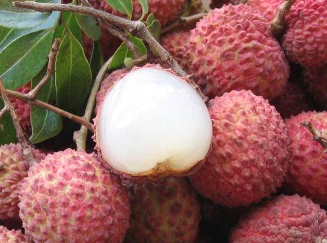 荔枝如何保鲜保存?荔枝保鲜小常识