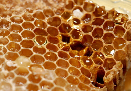新研究显示蜂蜜的止咳效果胜过止咳糖浆