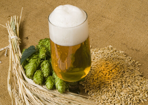 研究发现冬天喝啤酒有助于预防感冒