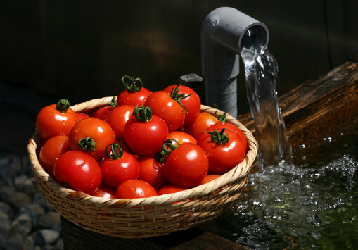 喝豆浆吃番茄增加饱足感-上班族懒人减肥法